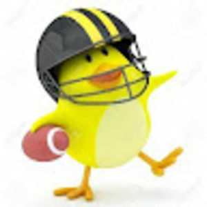 Meet your Posher, Sally